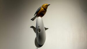 At the Brooklyn shop in ‘surreal’ row with Kelly Clarkson over mechanical bird